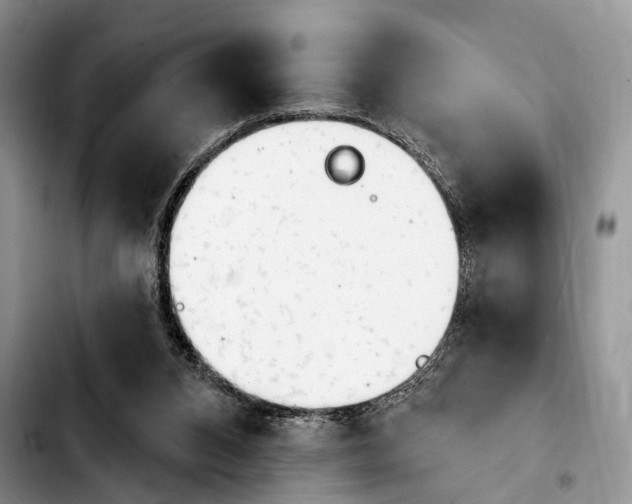 X0000103930112200810101402