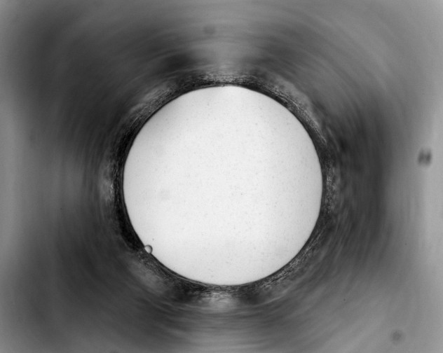 X0000103930114200810101402