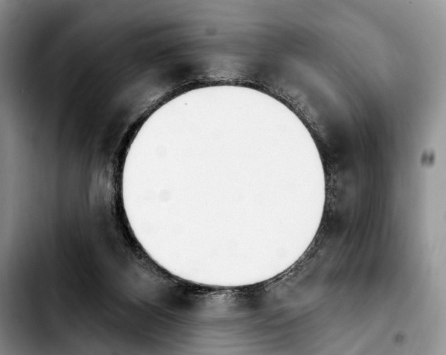 X0000103930116200810101402