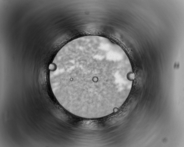 X0000103930117200810101402