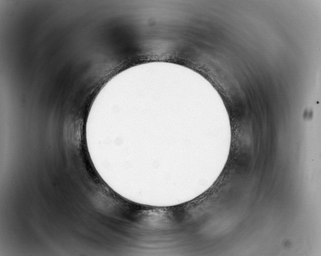 X0000103930118200810101402