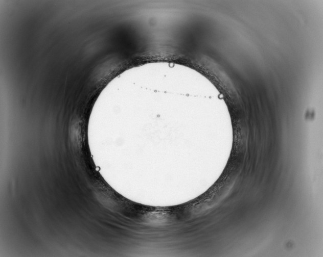 X0000103930119200810101402