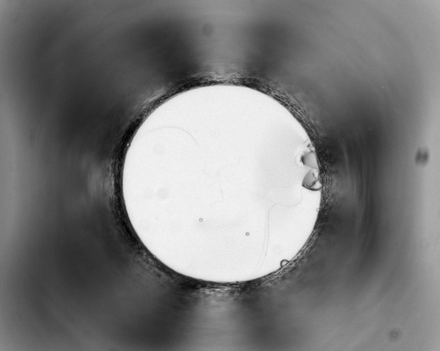 X0000103930120200810101402