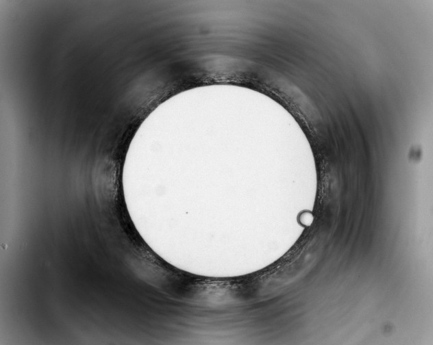 X0000103930121200810101402