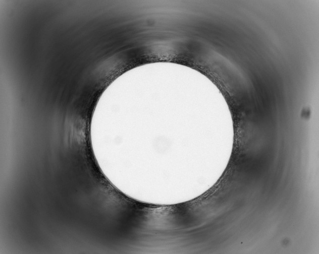 X0000103930122200810101402