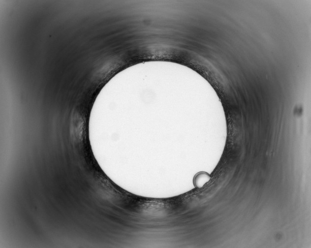 X0000103930123200810101402