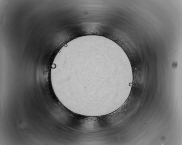 X0000103930124200810101402