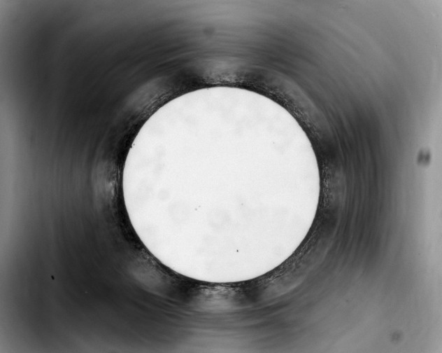 X0000103930125200810101402