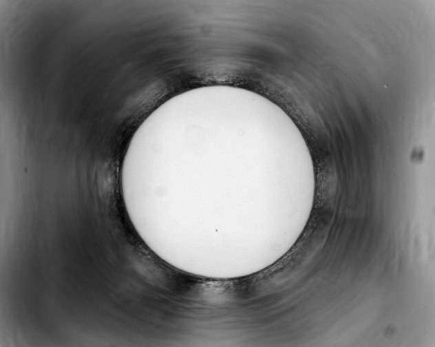 X0000103930126200810101402