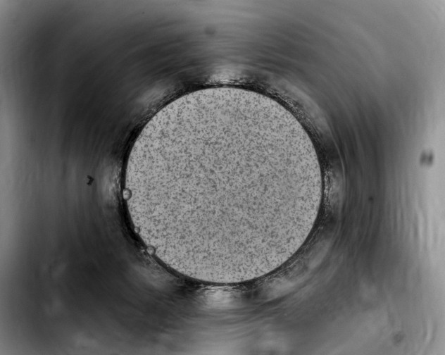 X0000103930127200810101402