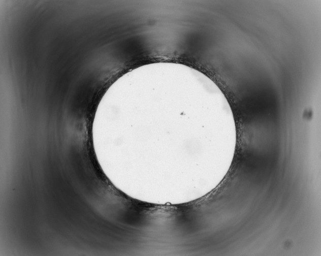 X0000103930128200810101402