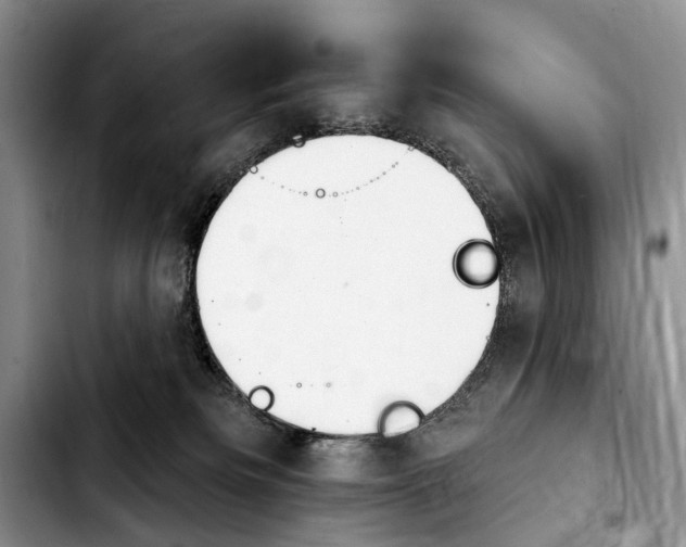 X0000103930133200810101402