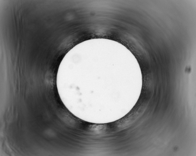 X0000103930135200810101402