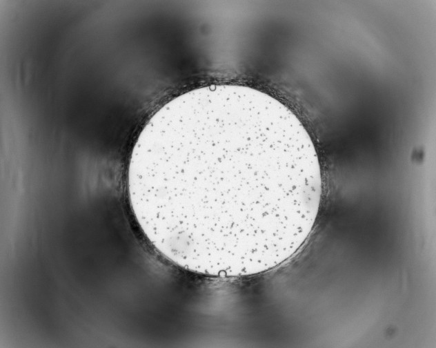 X0000103930136200810101402