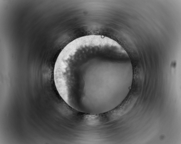 X0000103930139200810101402