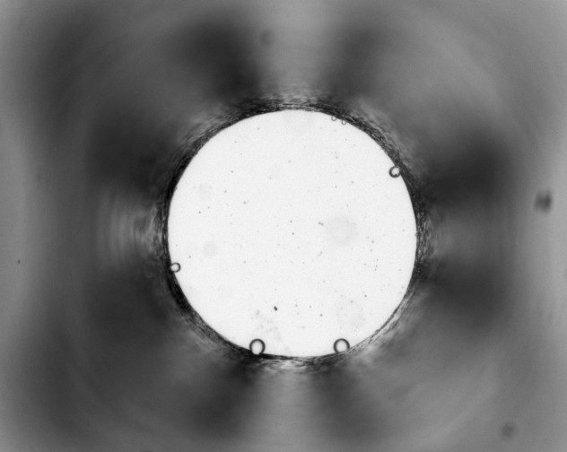 X0000103930140200810101402