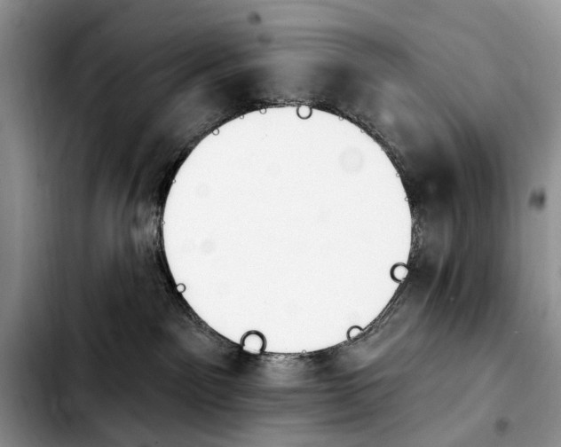 X0000103930141200810101402