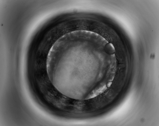 X0000103930143200810101402