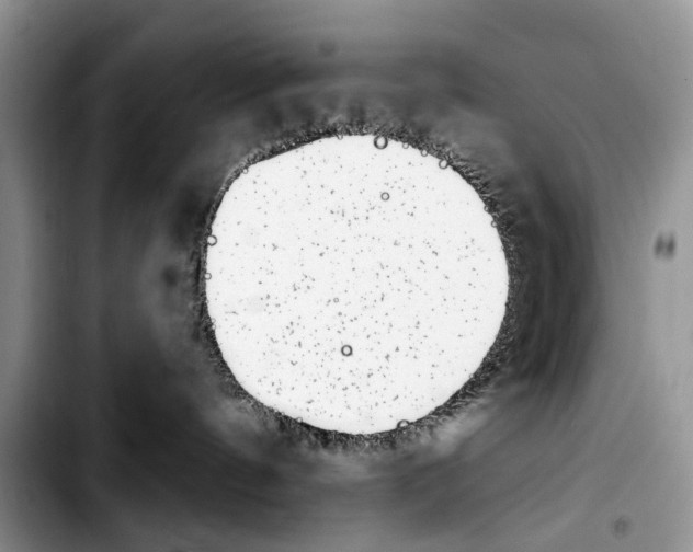 X0000103930144200810101402