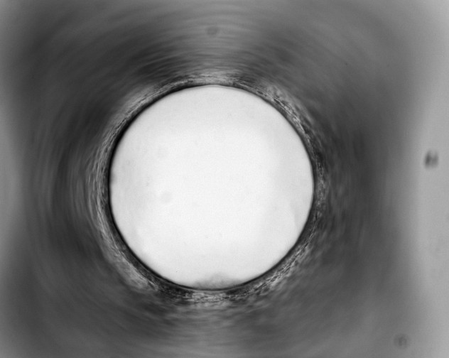 X0000103930145200810101401