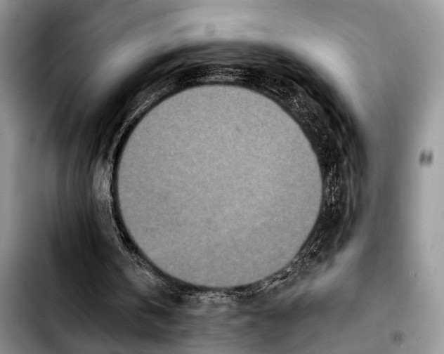 X0000103930146200810101401