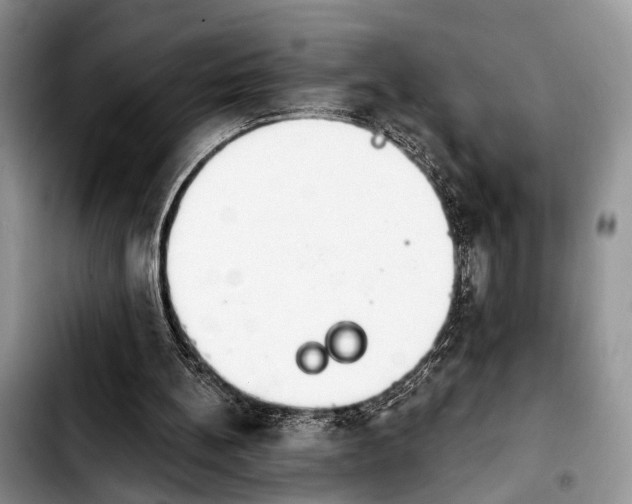 X0000103930148200810101401