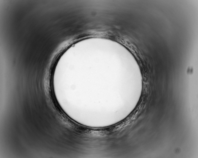 X0000103930149200810101401