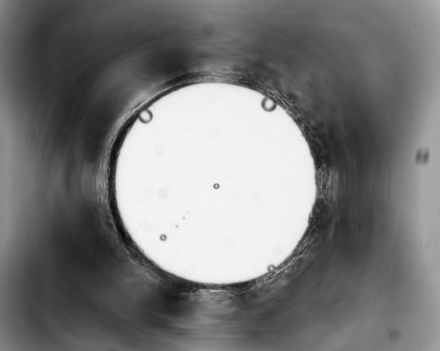 X0000103930150200810101401