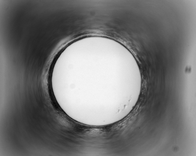 X0000103930151200810101401