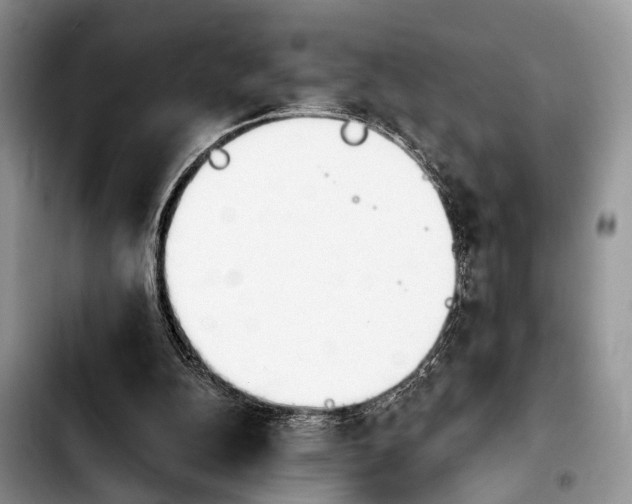 X0000103930152200810101401