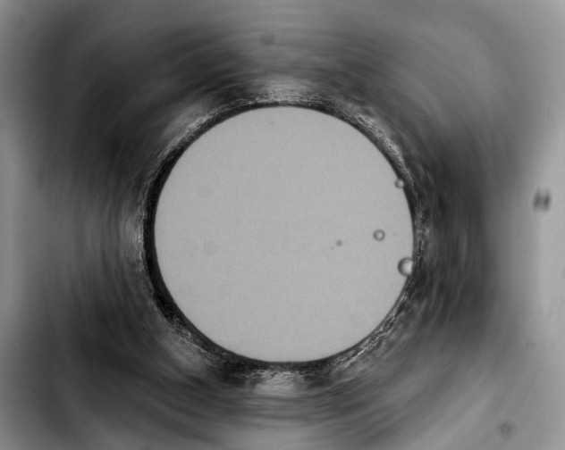 X0000103930154200810101401