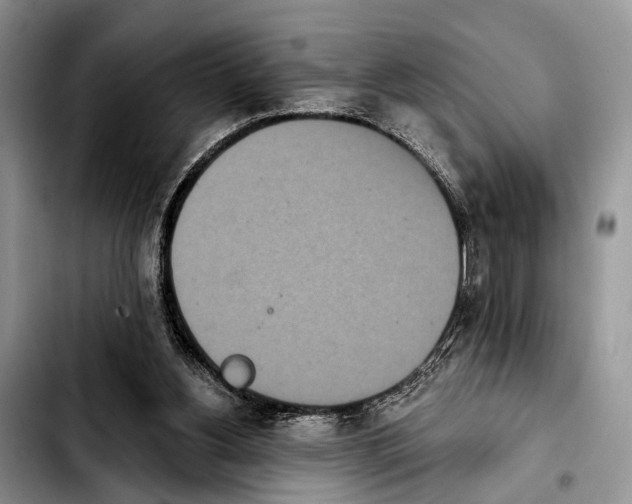 X0000103930156200810101401