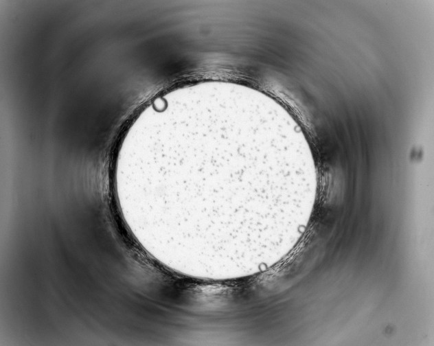 X0000103930158200810101401