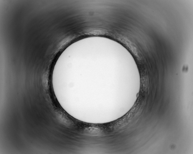 X0000103930159200810101401