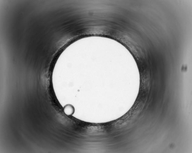 X0000103930160200810101401