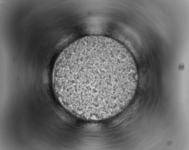 X0000103930161200810101401