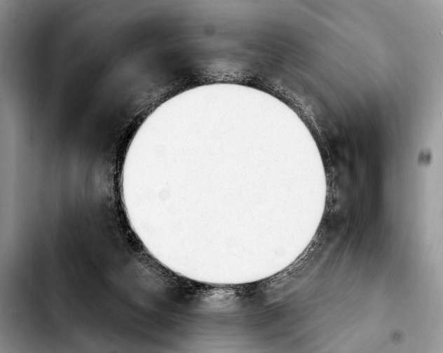 X0000103930162200810101401