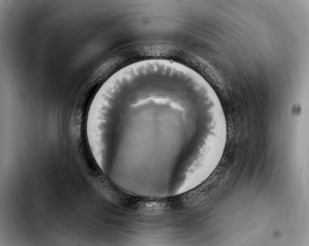 X0000103930163200810101401