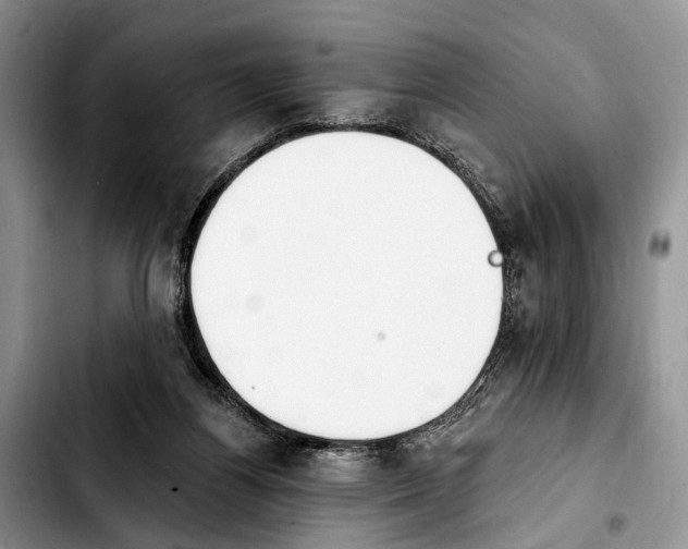 X0000103930164200810101401