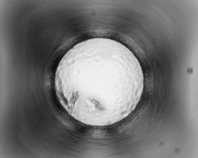 X0000103930165200810101401