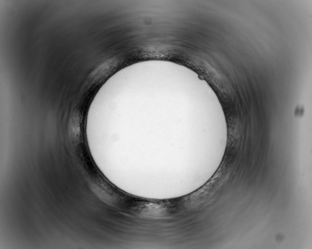 X0000103930166200810101401