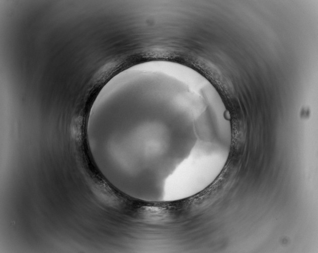 X0000103930167200810101401