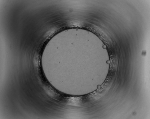 X0000103930168200810101401