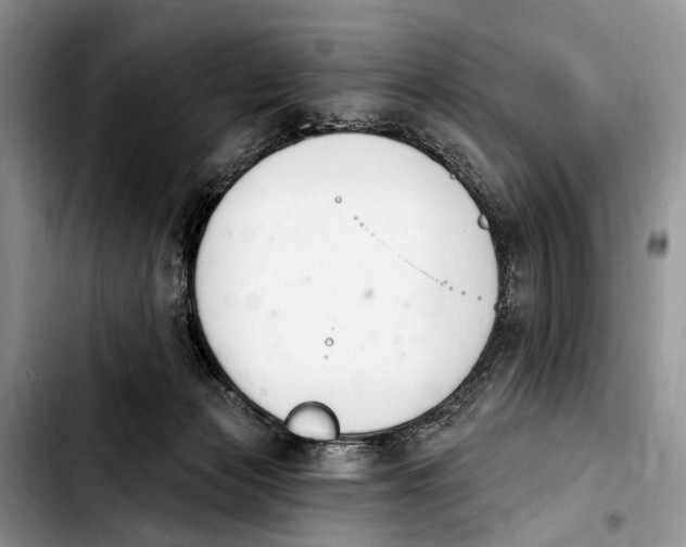 X0000103930173200810101401