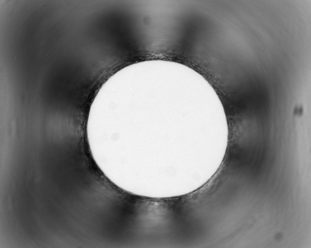 X0000103930174200810101401