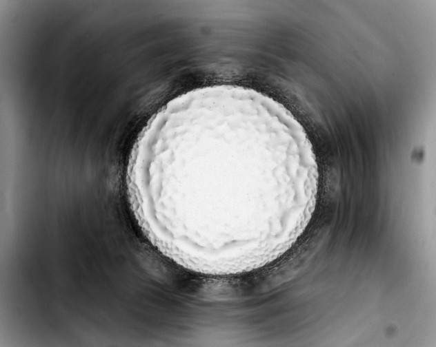 X0000103930177200810101401