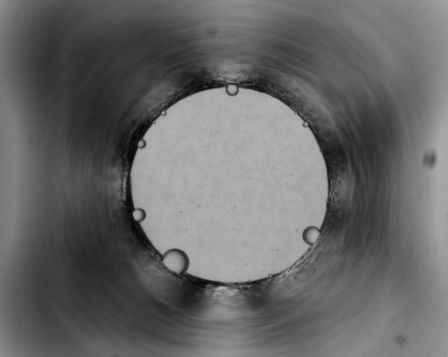 X0000103930180200810101401