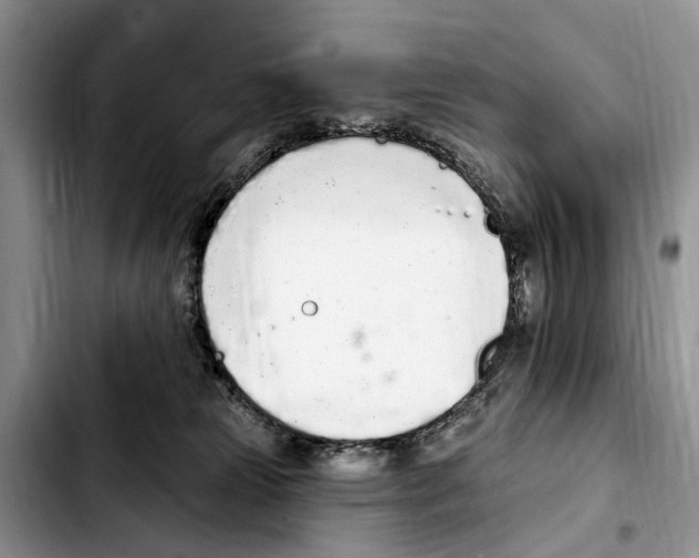 X0000103930181200810101402