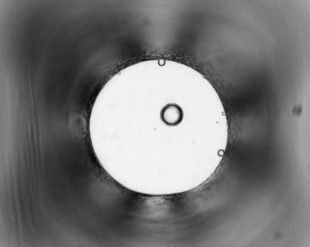 X0000103930183200810101402