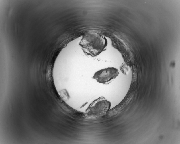 X0000103930185200810101402